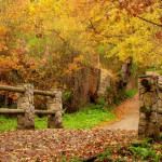 casas-rurales-sanabria-mirador-alrededores-parque-natural-6[1]